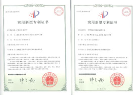 2015年實(shí)用專利