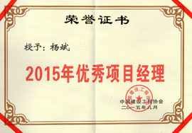 2015年優(yōu)秀項(xiàng)目經(jīng)理-楊斌